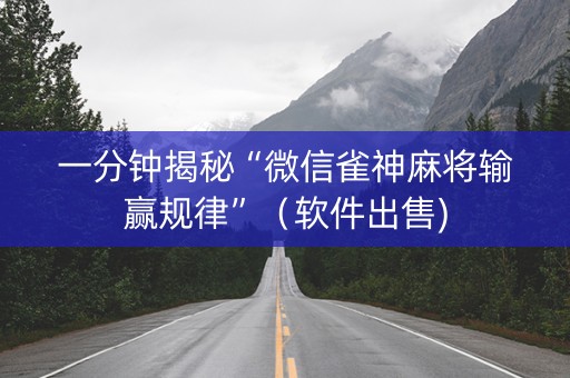 一分钟揭秘“微信雀神麻将输赢规律”（软件出售)