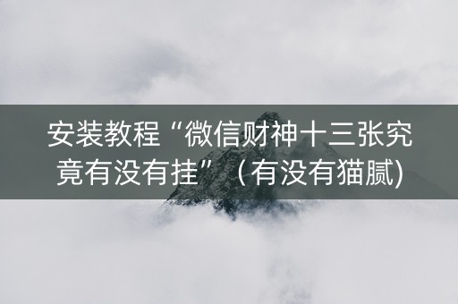 安装教程“微信财神十三张究竟有没有挂”（有没有猫腻)