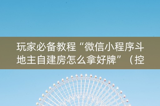 玩家必备教程“微信小程序斗地主自建房怎么拿好牌”（控牌神器)