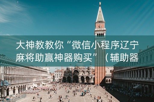 大神教教你“微信小程序辽宁麻将助赢神器购买”（辅助器下载)