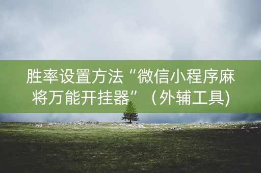 胜率设置方法“微信小程序麻将万能开挂器”（外辅工具)