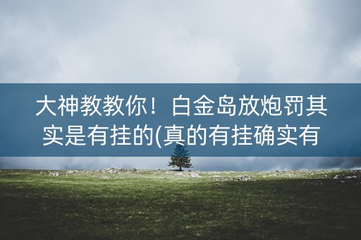 大神教教你！白金岛放炮罚其实是有挂的(真的有挂确实有挂)