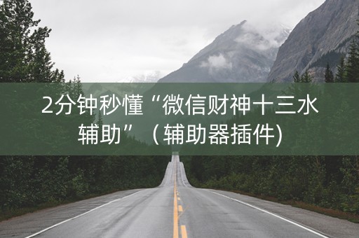 2分钟秒懂“微信财神十三水辅助”（辅助器插件)