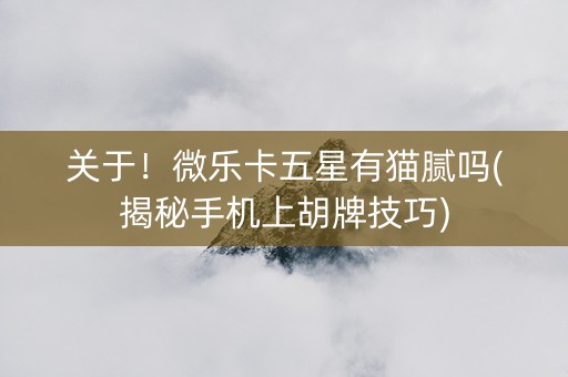 关于！微乐卡五星有猫腻吗(揭秘手机上胡牌技巧)