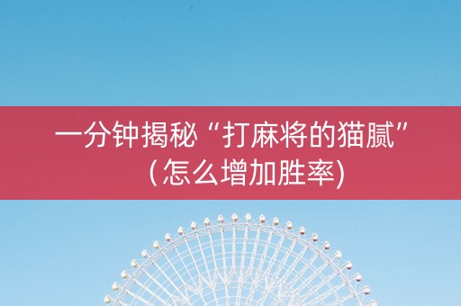 一分钟揭秘“打麻将的猫腻”（怎么增加胜率)