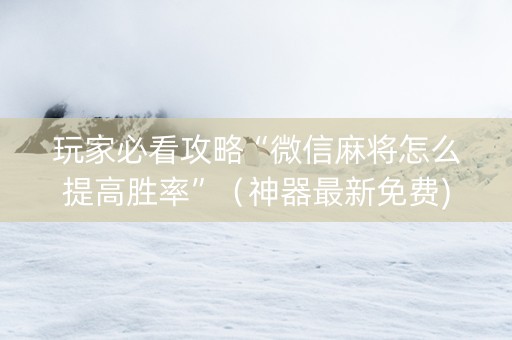 玩家必看攻略“微信麻将怎么提高胜率”（神器最新免费)