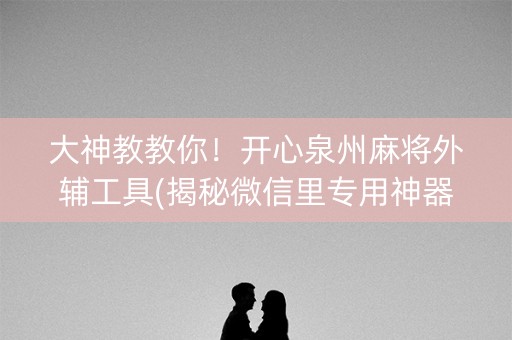 大神教教你！开心泉州麻将外辅工具(揭秘微信里专用神器)