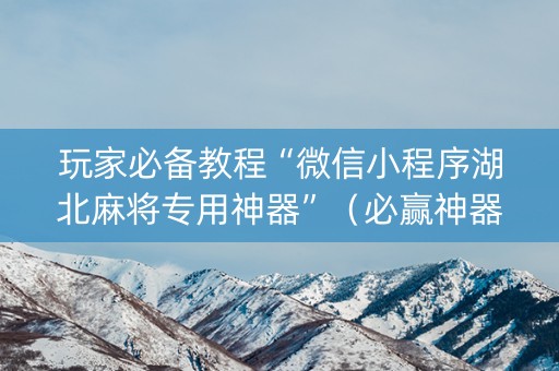 玩家必备教程“微信小程序湖北麻将专用神器”（必赢神器辅助器)