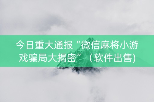 今日重大通报“微信麻将小游戏骗局大揭密”（软件出售)