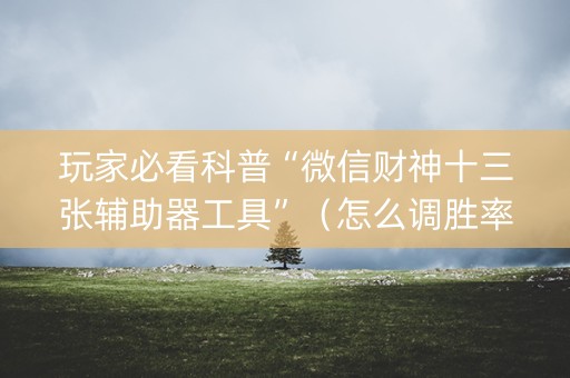 玩家必看科普“微信财神十三张辅助器工具”（怎么调胜率)