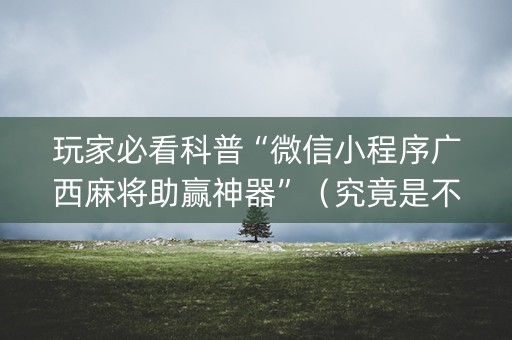 玩家必看科普“微信小程序广西麻将助赢神器”（究竟是不是有挂)