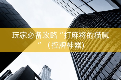 玩家必备攻略“打麻将的猫腻”（控牌神器)