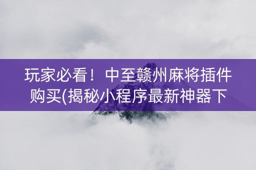玩家必看！中至赣州麻将插件购买(揭秘小程序最新神器下载)