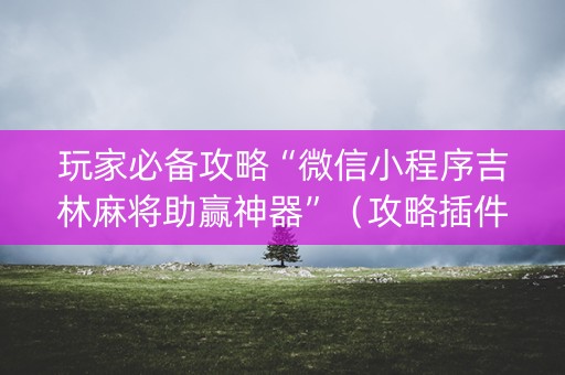 玩家必备攻略“微信小程序吉林麻将助赢神器”（攻略插件)