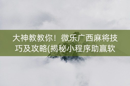 大神教教你！微乐广西麻将技巧及攻略(揭秘小程序助赢软件)