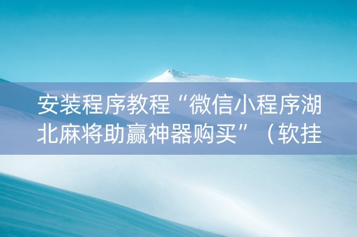 安装程序教程“微信小程序湖北麻将助赢神器购买”（软挂神器)