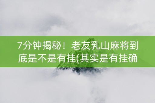 7分钟揭秘！老友乳山麻将到底是不是有挂(其实是有挂确实有挂)