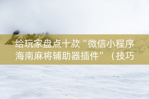 给玩家盘点十款“微信小程序海南麻将辅助器插件”（技巧和打好牌方法)