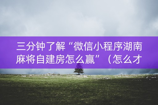 三分钟了解“微信小程序湖南麻将自建房怎么赢”（怎么才会赢)