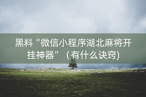 黑料“微信小程序湖北麻将开挂神器”（有什么诀窍)