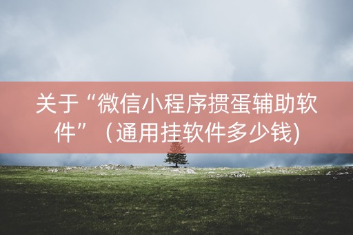 关于“微信小程序掼蛋辅助软件”（通用挂软件多少钱)