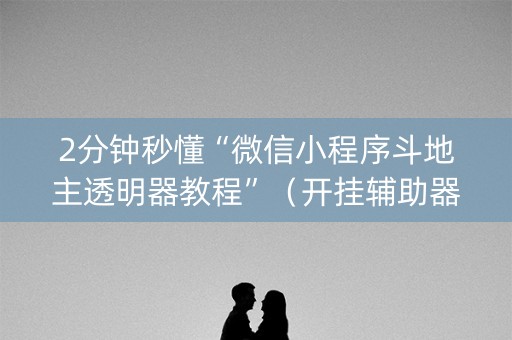 2分钟秒懂“微信小程序斗地主透明器教程”（开挂辅助器脚本)