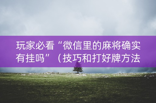 玩家必看“微信里的麻将确实有挂吗”（技巧和打好牌方法)