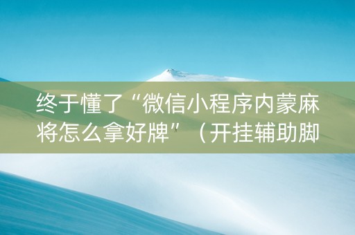 终于懂了“微信小程序内蒙麻将怎么拿好牌”（开挂辅助脚本)