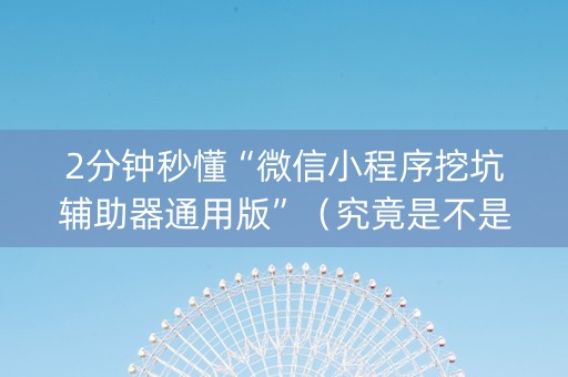 2分钟秒懂“微信小程序挖坑辅助器通用版”（究竟是不是有挂)
