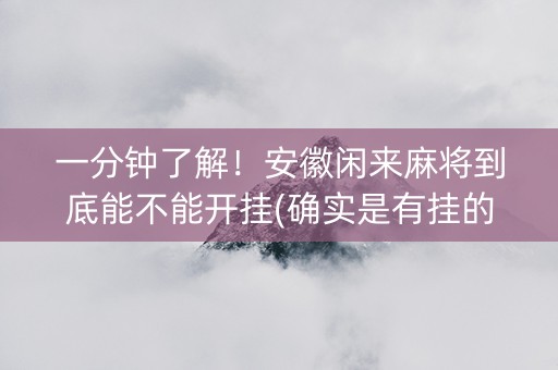 一分钟了解！安徽闲来麻将到底能不能开挂(确实是有挂的)
