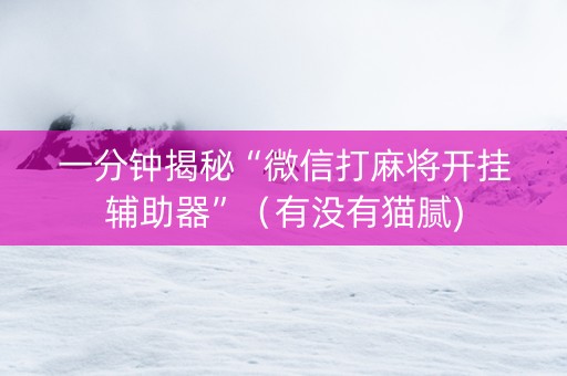 一分钟揭秘“微信打麻将开挂辅助器”（有没有猫腻)
