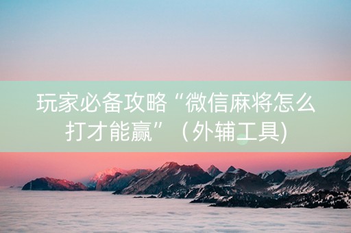 玩家必备攻略“微信麻将怎么打才能赢”（外辅工具)