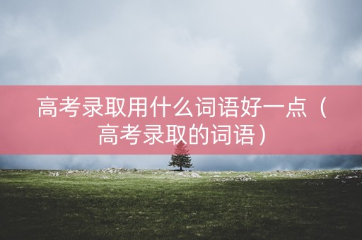 高考录取用什么词语好一点（高考录取的词语）