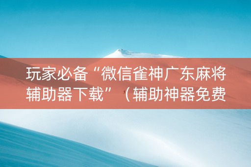 玩家必备“微信雀神广东麻将辅助器下载”（辅助神器免费)