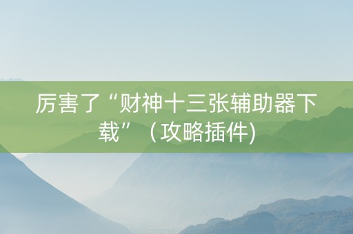 厉害了“财神十三张辅助器下载”（攻略插件)