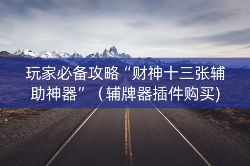 玩家必备攻略“财神十三张辅助神器”（辅牌器插件购买)