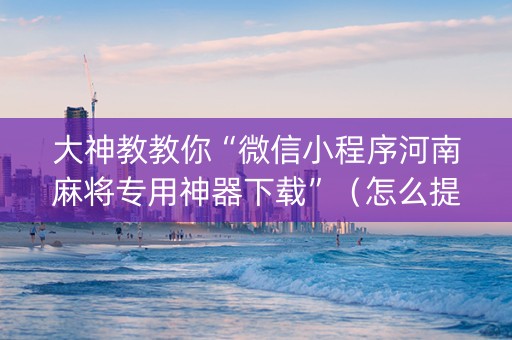 大神教教你“微信小程序河南麻将专用神器下载”（怎么提高胜率)