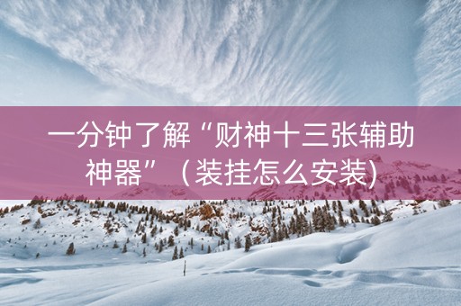 一分钟了解“财神十三张辅助神器”（装挂怎么安装)
