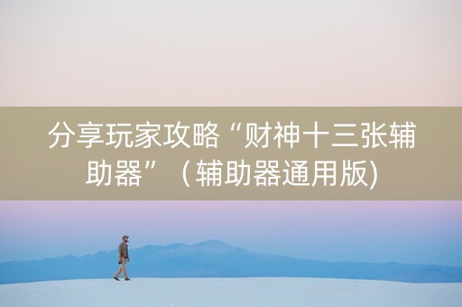 分享玩家攻略“财神十三张辅助器”（辅助器通用版)