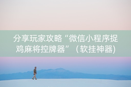 分享玩家攻略“微信小程序捉鸡麻将控牌器”（软挂神器)