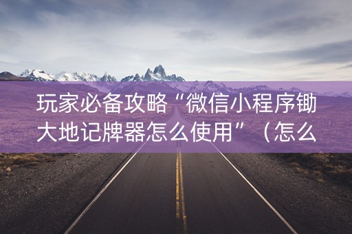 玩家必备攻略“微信小程序锄大地记牌器怎么使用”（怎么设置才能赢)