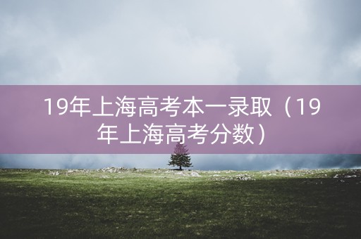 19年上海高考本一录取（19年上海高考分数）