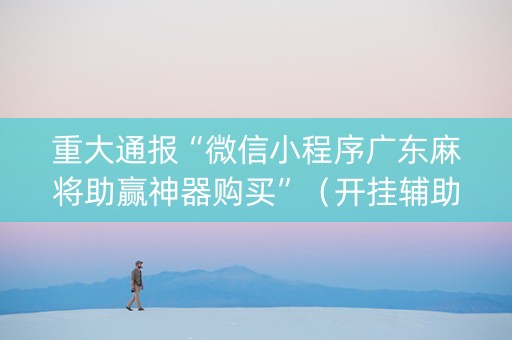 重大通报“微信小程序广东麻将助赢神器购买”（开挂辅助器插件)