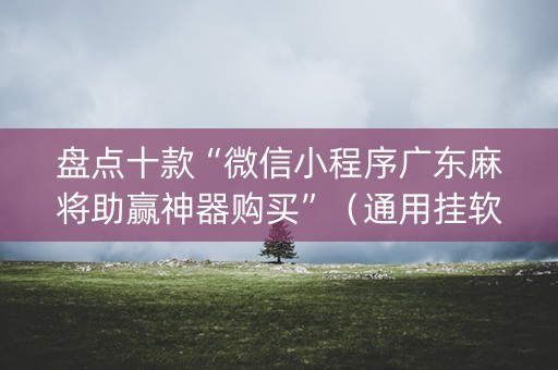 盘点十款“微信小程序广东麻将助赢神器购买”（通用挂软件多少钱)