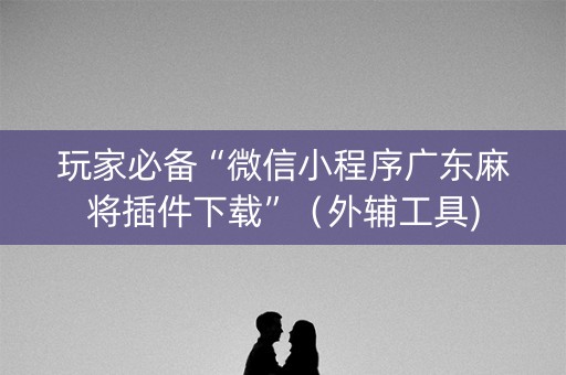 玩家必备“微信小程序广东麻将插件下载”（外辅工具)