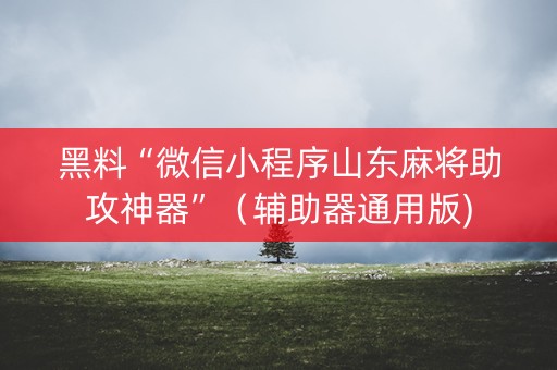 黑料“微信小程序山东麻将助攻神器”（辅助器通用版)