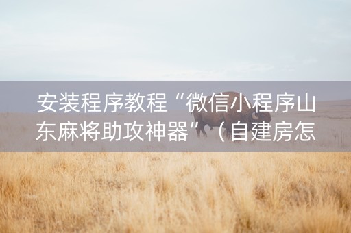 安装程序教程“微信小程序山东麻将助攻神器”（自建房怎么赢)