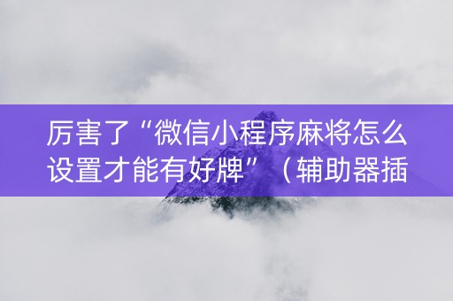 厉害了“微信小程序麻将怎么设置才能有好牌”（辅助器插件)