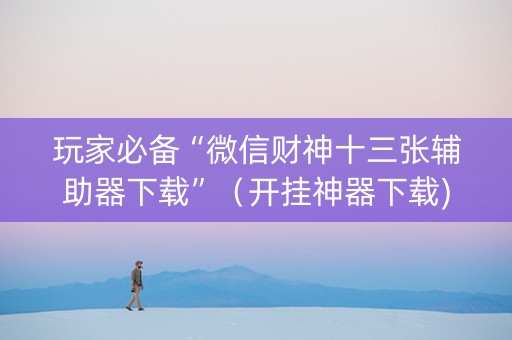 玩家必备“微信财神十三张辅助器下载”（开挂神器下载)