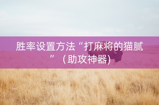 胜率设置方法“打麻将的猫腻”（助攻神器)